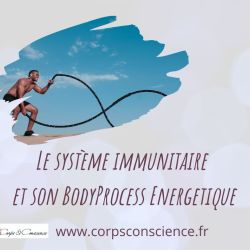 Le système immunitaire et son BodyProcess.jpg
